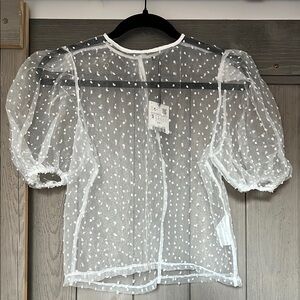 Zara Sheer Puff Sleeve Top